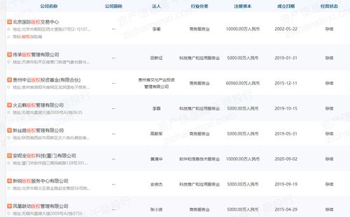 2022年無形資產估值工具和方法研究報告 聚焦銷售與互聯(lián)網(wǎng)電子產品銷售